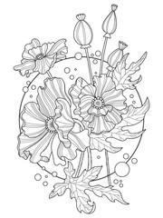 Poppy flowers coloring book vector illustration