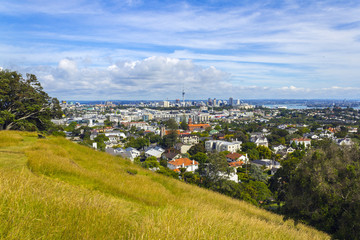 City and Urban Landscape from Mt Hobson Auckland New Zealand