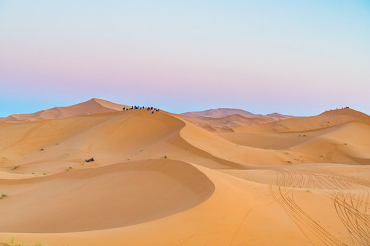 sand desert
