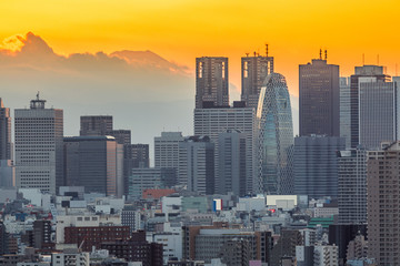 Tokyo Shinjuku with Fuji