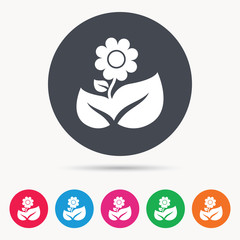 Obraz premium Flower icon. Florist plant with leaf symbol. Colored circle buttons with flat web icon. Vector