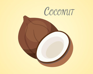 Vector coconut fruit in cartoon style. depicting whole and half. fresh juicy.