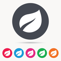 Leaf icon. Fresh organic product symbol. Colored circle buttons with flat web icon. Vector