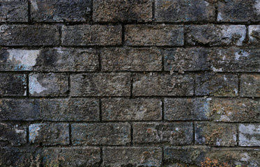 Stone Texture