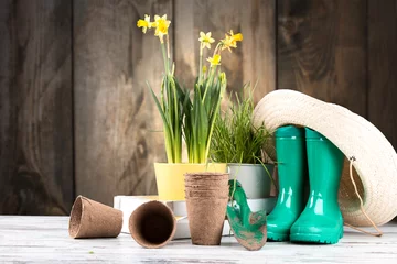 Foto op Plexiglas Garden tolls and spring seedling on wooden background. Rubber, narcis and tulips. © verca