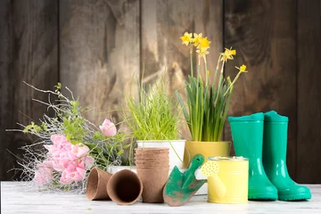 Poster Garden tolls and spring seedling on wooden background. Rubber, narcis and tulips. © verca