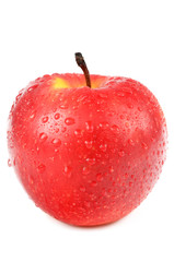 apple on a white background