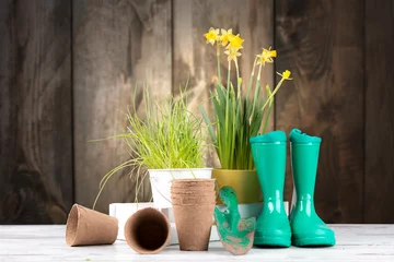 Tuinposter Garden tolls and spring seedling on wooden background. Rubber, narcis and tulips. © verca