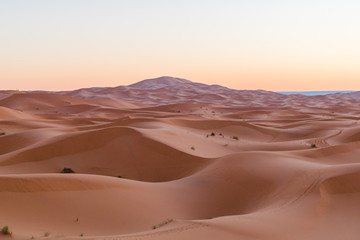 Fototapeta na wymiar sand desert at the sunset 