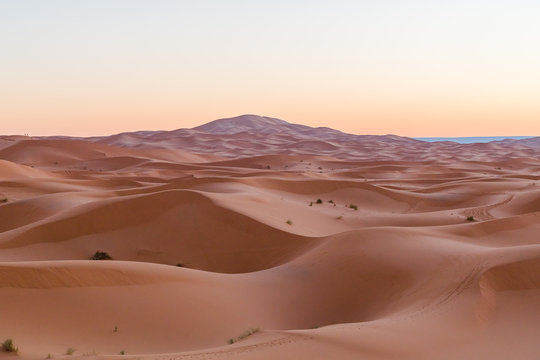 sand desert at the sunset © praphab144