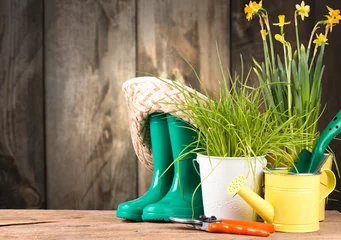 Fensteraufkleber Garden tolls and spring seedling on wooden background. Rubber, narcis and tulips. © verca