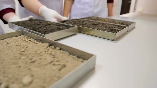 Soil probe. Women's hands put soil samples on the table