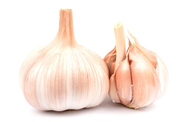 garlic on a white background