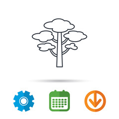 Pine tree icon. Forest wood sign. Nature environment symbol. Calendar, cogwheel and download arrow signs. Colored flat web icons. Vector