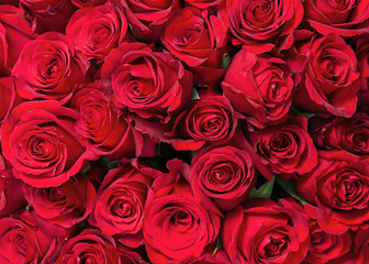 Colorful flower bouquet from red roses for use as background. Closeup.