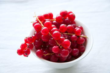 Fresh red currant in a small bowl on a white background