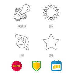 Leaf, star and sun icons. Pacifier linear sign. Shield protection, calendar and new tag web icons. Vector