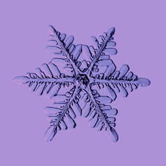 Close-up of a snowflake on a purple background