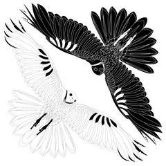 Eagle flying on white backgroun.