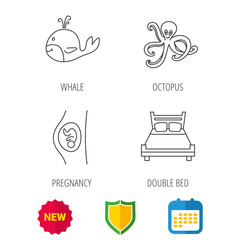 Whale, octopus and double bed  icons. Pregnancy linear sign. Shield protection, calendar and new tag web icons. Vector