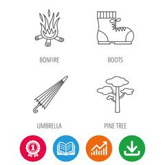Pine tree, bonfire and hiking boots icons. Umbrella linear sign. Award medal, growth chart and opened book web icons. Download arrow. Vector