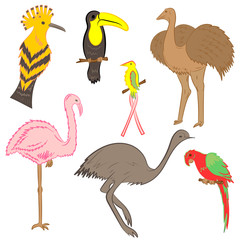Colorful Hand Drawn Exotic Tropical Birds. Doodle Drawings of Parrot, Ostrich, Emu, Hummingbird, Hoopoe and Toucan. Flat Style. Vector Illustration.