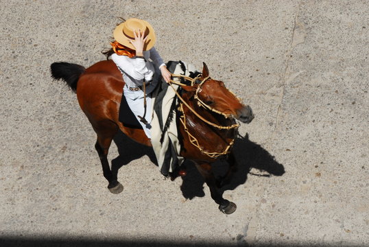 Fiesta del gaucho en general Madariaga, argentina, con desfile de caballos y manadas.