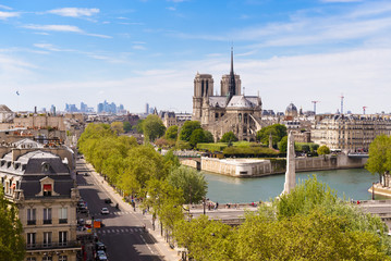 Cathédrale Notre-Dame de Paris depuis l'Institut du Monde Arabe - Paris en France - obrazy, fototapety, plakaty