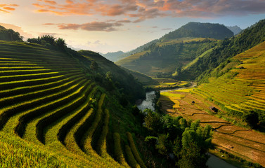 Rice terrace in mist on during sunrise ,Vietnam