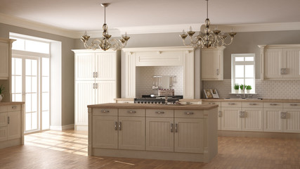 Fototapeta na wymiar Classic kitchen, scandinavian minimal interior design with woode