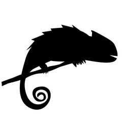 Silhouette of chameleon on the branch © Alena