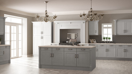 Classic kitchen, scandinavian minimal interior design with woode