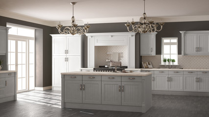 Classic kitchen, scandinavian minimal interior design with woode