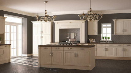 Classic kitchen, scandinavian minimal interior design with woode