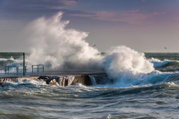 Forza Onde Mare Inverno