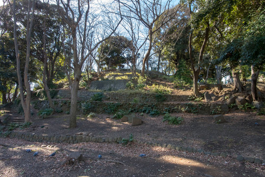 芝公園丸山古墳 Images Browse 11 Stock Photos, Vectors, and Video Adobe Stock