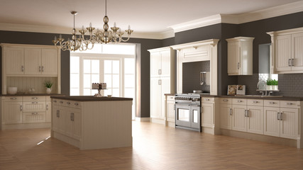 Classic kitchen, scandinavian minimal interior design with woode