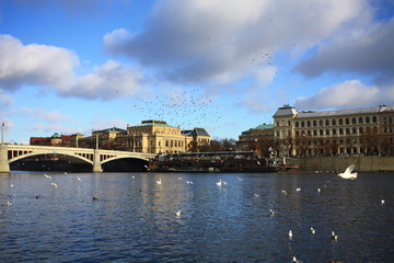 Bridge over the river