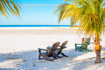 Obraz na płótnie Canvas chairs under palm trees on a deserted beach with white sand. Florida . USA Gulf of Mexico. 