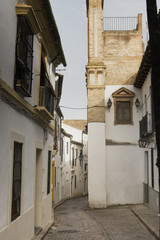 Cordoba (Andalucia, Spain): street