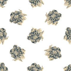 Seamless pattern with beautiful roses drawn by hand with colored pencils. Pencil drawing. Can be used for pattern fills, wallpapers, web page, surface textures. Toned black-and-white