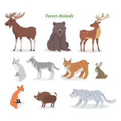 Forest Animals Set. Wildlife Characters. Vector