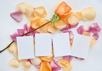 Empty Notepaper with rose flower and petals on white background.