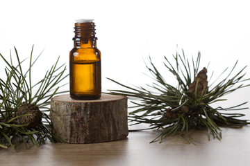 Pine essential oil and pine twigs