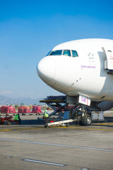 Fototapeta premium plane of Thai Airways at Kathmandu airport