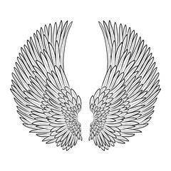 vector pair of angel wings in contour