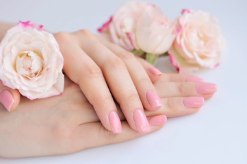 Hands of a woman with pink manicure on nails and roses