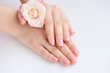 Hands of a woman with pink manicure on nails and roses