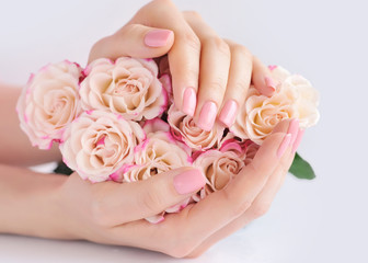 Hands of a woman with pink roses against white background