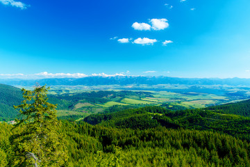 Obraz premium Beautiful landscape, forest and meadow and lake with mountain in background. Slovakia, Central Europe.